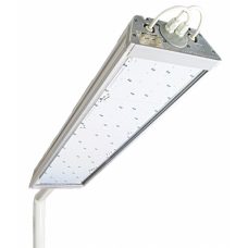 Светодиодный светильник уличный ДиУС-125