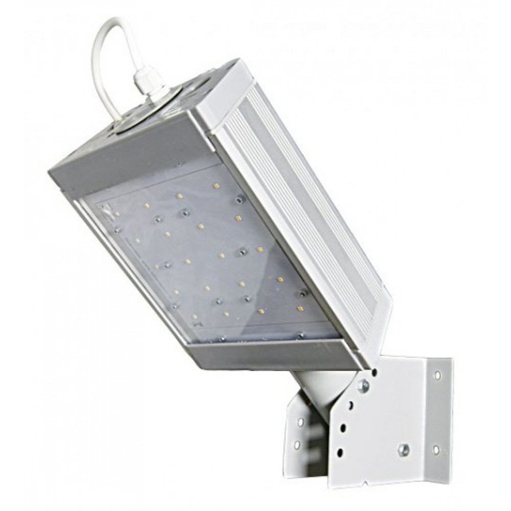 Светодиодный светильник уличный ДиУС-25