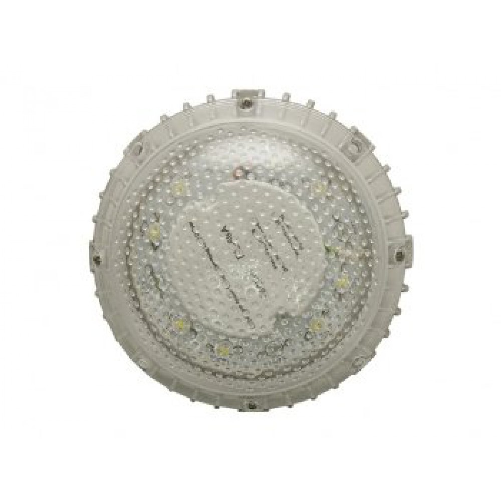 Светодиодный светильник ЖКХ-12Д